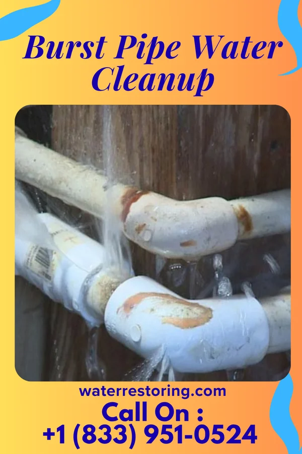 Burst Pipe Water Cleanup in West Orange, TX
