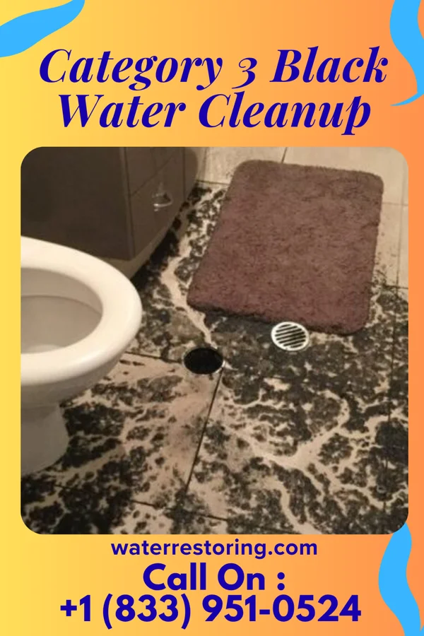 Category 3 Black Water Cleanup in West Orange, TX
