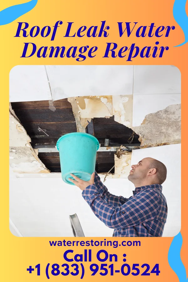 Roof Leak Water Damage Repair in West Orange, TX